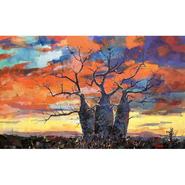 Boab Trees 25